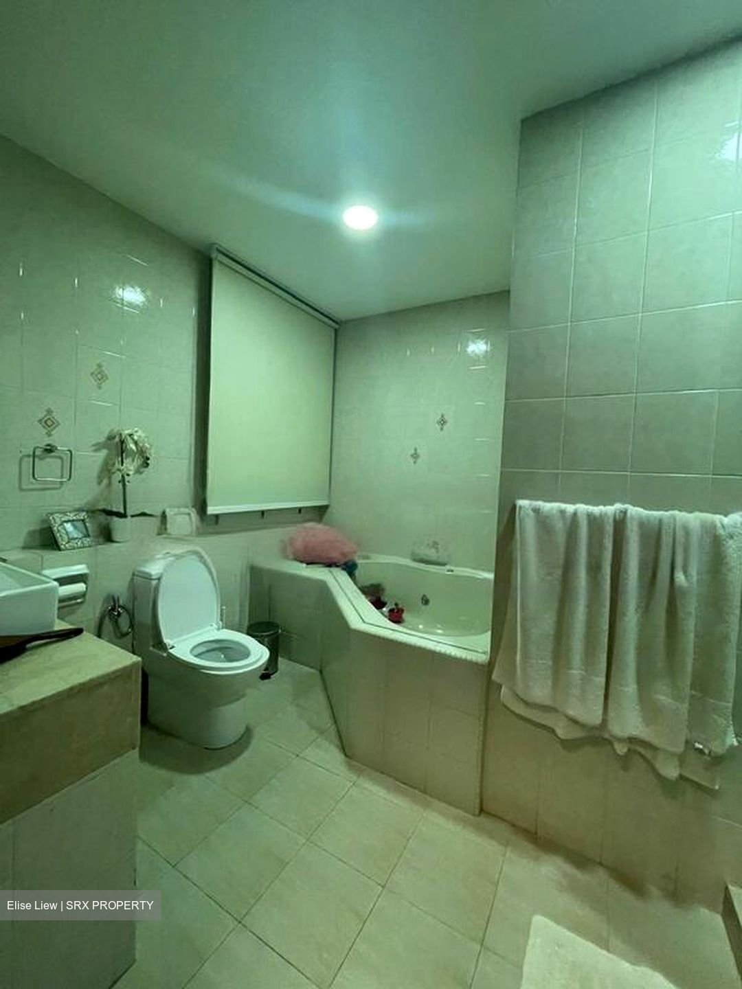 La Suisse (D11), Terrace #476008851